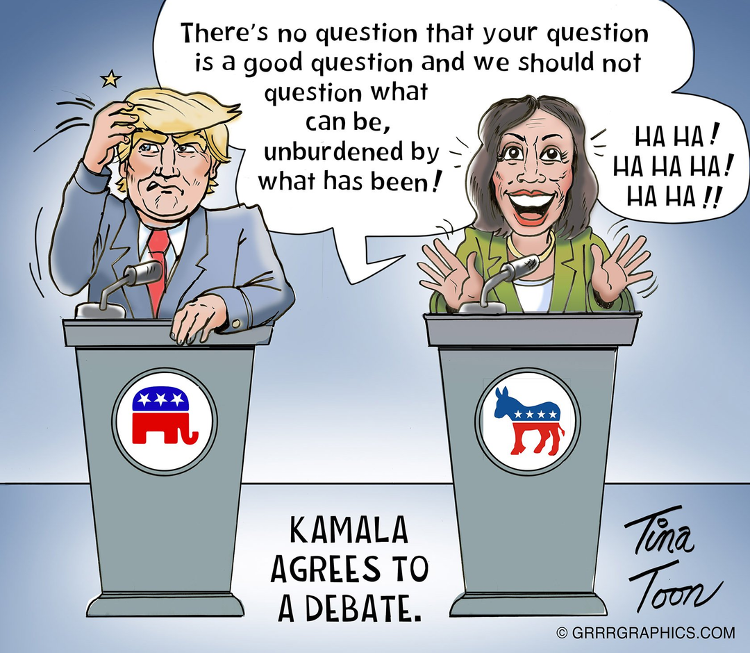 Kamala Debate Preview panel 1